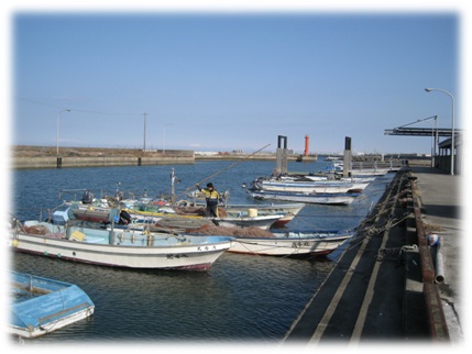 松ヶ崎漁港の画像