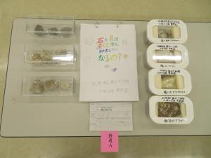 第三小学校 6年  井本 葵さん 「 石と貝を磨くと宝石みたいになるの？」の画像1