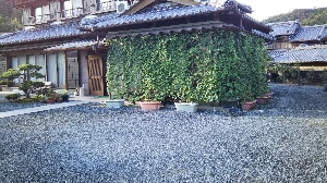 No.9　小阪章二様（矢津町）室内から眺める美しい緑とゴーヤの収穫の画像3