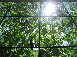 No.18　老人福祉センター松寿園　強い日射しを淡い光に、熱風をそよ風にの画像2