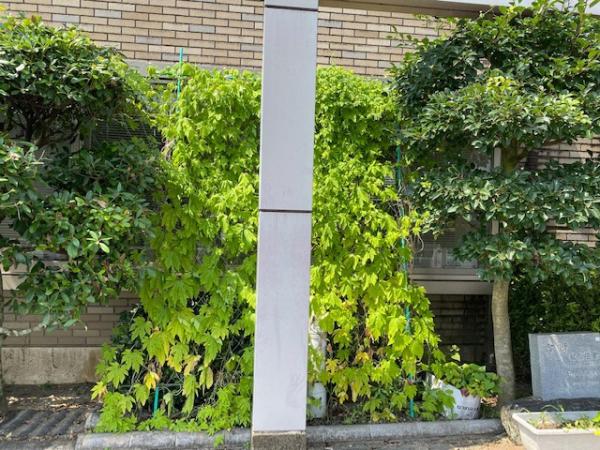 No.10　中川公民館　外は柱がど真ん中。中は朝日を遮りエコ快適の画像1
