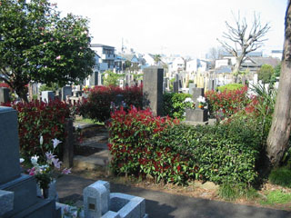 染井霊園（東京都豊島区）にある松浦武四郎のお墓の画像
