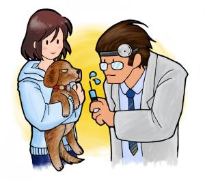 狂犬病予防注射の画像
