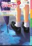 市議会だより85号(6月1日号)