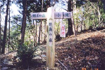 野鳥の森の写真