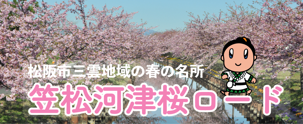 三重 県 河津 桜