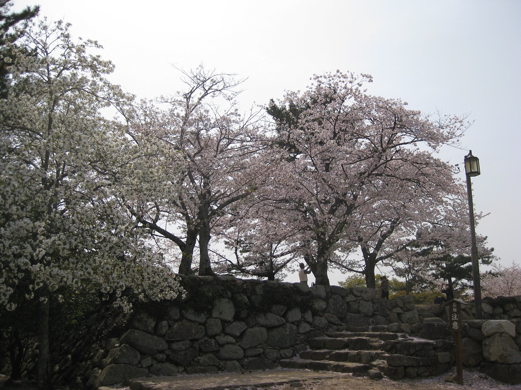 松阪公園1