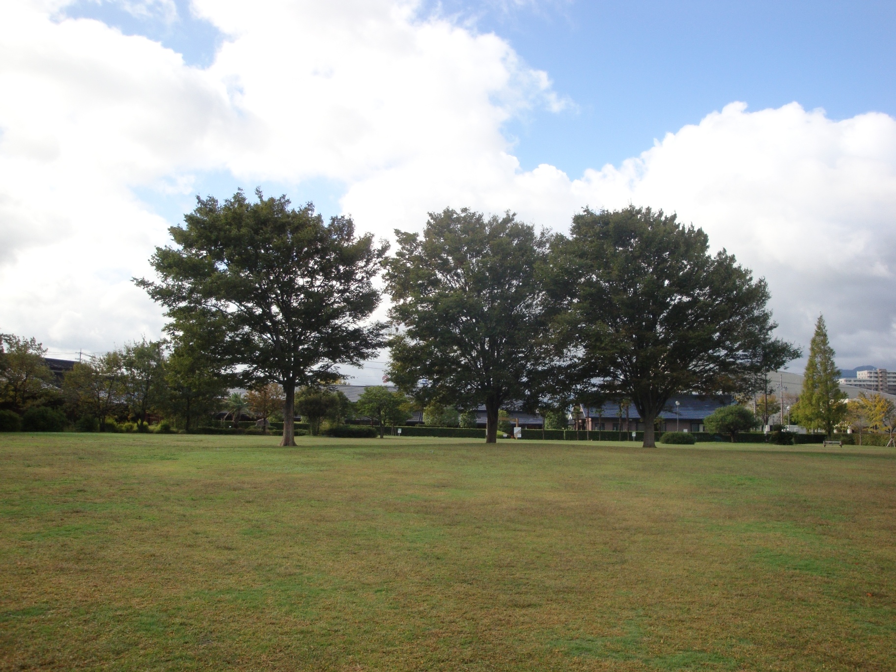 カネボウ跡公園の芝生広場写真