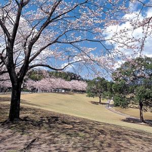 中部台運動公園