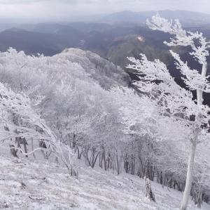 高見山