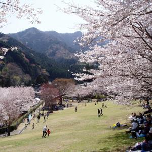 松阪市森林公園