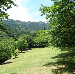 森林公園