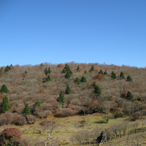 三峰山