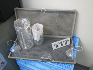 捕獲器を窓口で展示しています