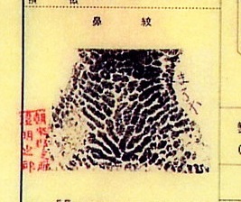 松阪牛の鼻紋です。