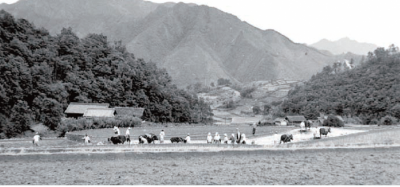 昭和30年代の飯南地域と松阪牛