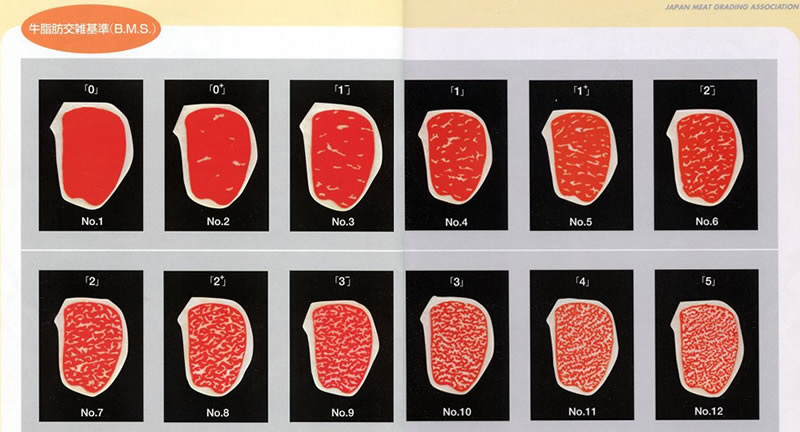 肉のBMS（脂肪交雑）の表