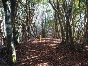 香肌峡の画像