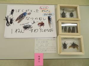 漕代小学校1年  諏訪 孝直さん 「 ぼくがとったなつのむし」の画像1