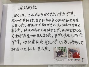 漕代小学校1年  諏訪 孝直さん 「 ぼくがとったなつのむし」の画像2