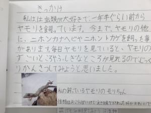 第一小学校3年   服部 紀恵さん 「ヤモリの体を見てみよう」の画像2