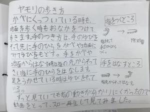 第一小学校3年   服部 紀恵さん 「ヤモリの体を見てみよう」の画像3