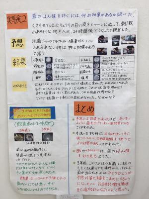 花岡小学校 6年  恩田 旭さん 「 コロナウイルスまんえんで身のまわりのきんはどうなった？」の画像3