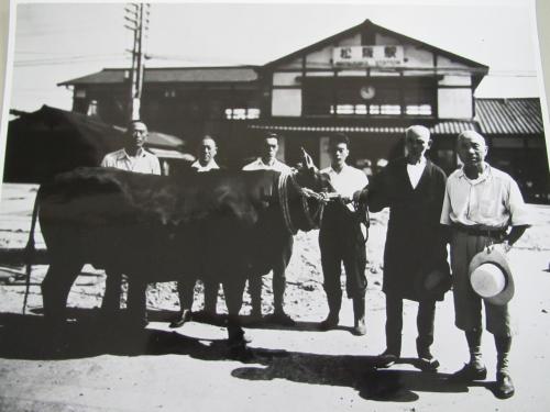 昭和29年(1954年)の国鉄（現在のJR）松阪駅前で撮影された松阪牛