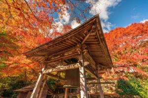 泰運寺（ふがまるちゃん撮影）