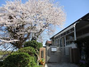 山室幼稚園　桜