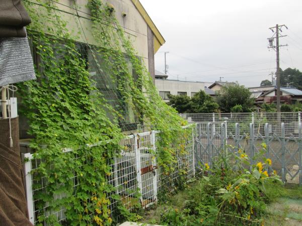 No.18　飯南ひまわりこども園　様の画像1