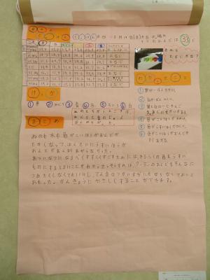 特選A受賞作品「すずしい色はどれ？」2