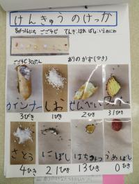 特選A受賞作品「ありのすきな　たべものしらべ」1