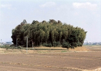 八重田11号墳