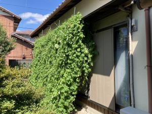 嬉野中川町写真2