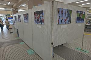 パネル展