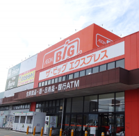 イオンビッグ