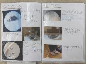 1年生1