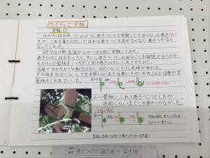 中学生1