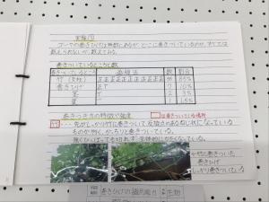 中学生2