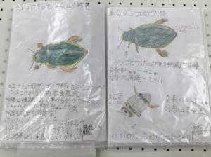 5年生2