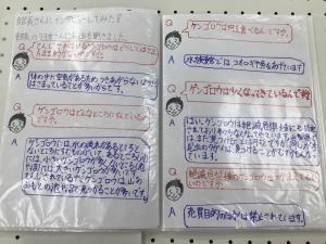 5年生3