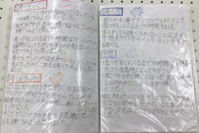5年生1
