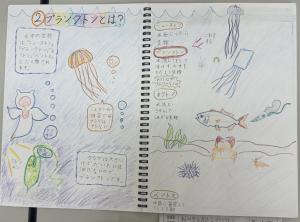4年生1