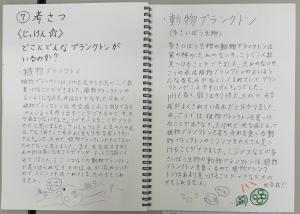 4年生3