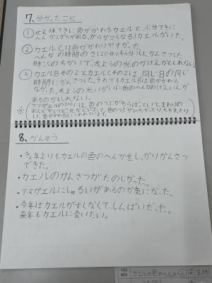 2年生2－3