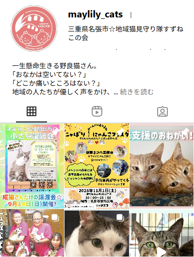 地域猫見守り隊すずねこの会インスタグラムページのスクリーンショット