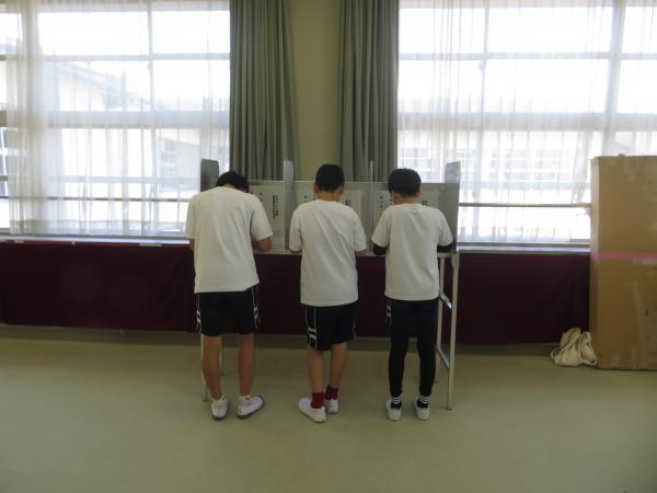 投票用紙記載の写真