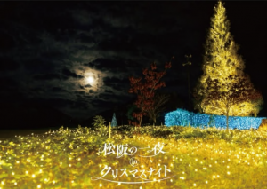 松阪の一夜　写真