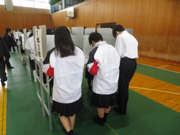 投票用紙を記載している写真